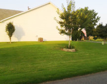 Lawn Care