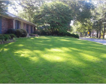 Lawn Maintenance