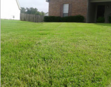 Lawn Maintenance