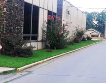Commercial Lawn Care
